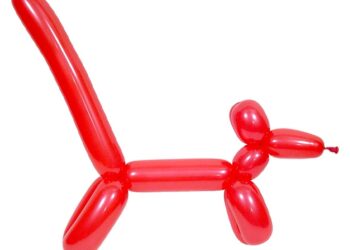 From Fetch to Fetch: The Ultimate Guide to Moving Your Dog’s Favorite Toys