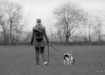 Effortlessly Walk Your Dog with the Ultimate No-Pull Leash Solution