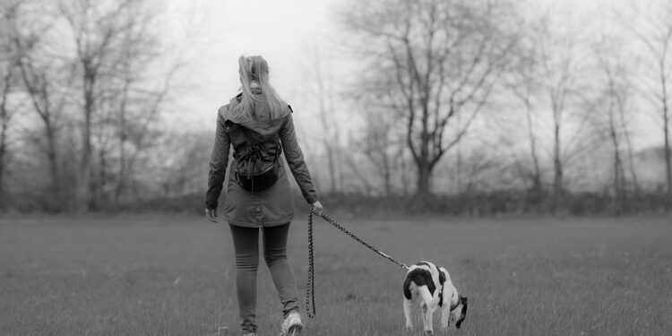 Effortlessly Walk Your Dog with the Ultimate No-Pull Leash Solution