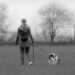Effortlessly Walk Your Dog with the Ultimate No-Pull Leash Solution