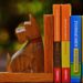 Unleashing Harmony: Overcoming Common Dog Behavior Challenges with Effective Solutions