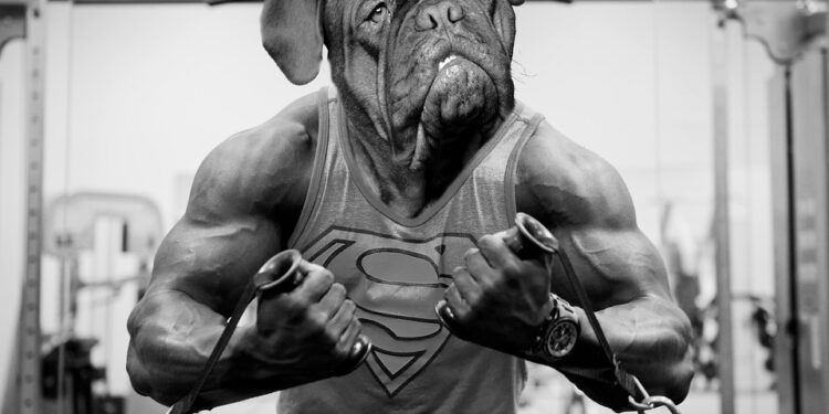 Unleash the Power of Pet Therapy: Find Top-rated Dog Training Near You!