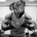 Unleash the Power of Pet Therapy: Find Top-rated Dog Training Near You!