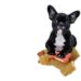 Berry Good or Banana Bad: Can Dogs Safely Snack on Fruity Treats?
