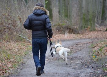Unleash Your Dog’s Freedom: The Ultimate Guide to Choosing the Right Dog Leash