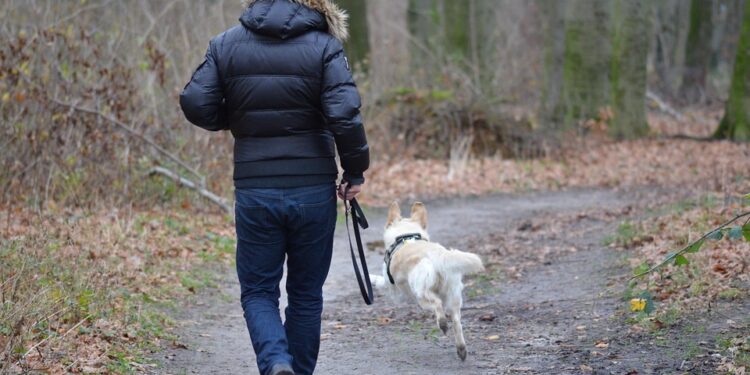 Unleash Your Dog’s Freedom: The Ultimate Guide to Choosing the Right Dog Leash