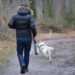 Unleash Your Dog’s Freedom: The Ultimate Guide to Choosing the Right Dog Leash