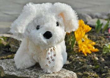 Pawsome Playtime: Entertaining Toys to Cure Your Dog’s Boredom