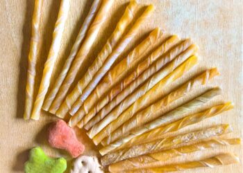Digestive Delights: The Top Dog Foods for Sensitive Stomachs and Diarrhea Relief