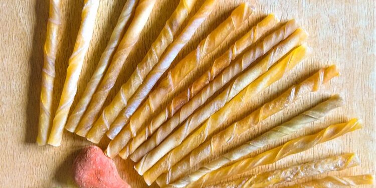 Digestive Delights: The Top Dog Foods for Sensitive Stomachs and Diarrhea Relief