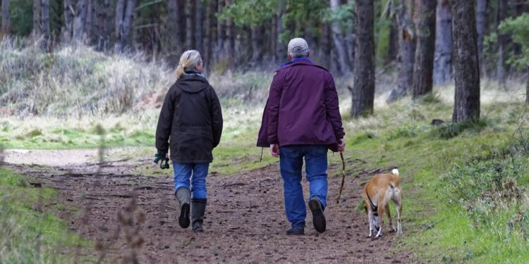 Mastering Leash Manners: A Guide to Effective Dog Training