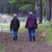 Mastering Leash Manners: A Guide to Effective Dog Training