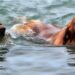 The Canine Mind: Understanding and Reacting to Dog Behavior