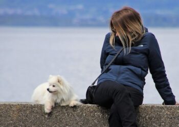Pawsitively Stylish: The Ultimate Guide to Dog Fashion