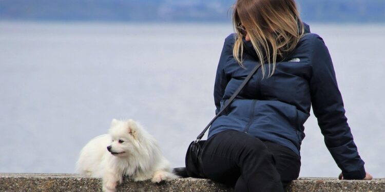 Pawsitively Stylish: The Ultimate Guide to Dog Fashion
