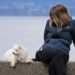 Pawsitively Stylish: The Ultimate Guide to Dog Fashion