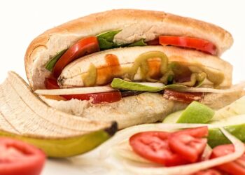 Top Picks: The Best Dog Food for Growing Puppies