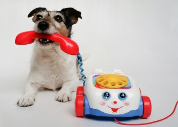 Unleashing the Fun: The Ultimate Dog Puzzle Challenge