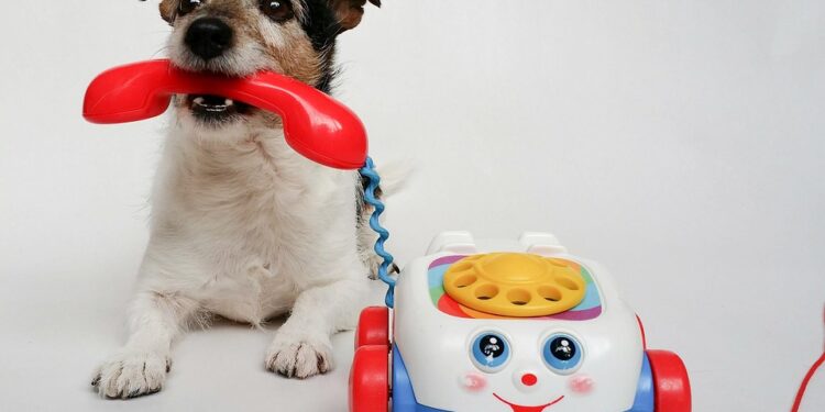 Unleashing the Fun: The Ultimate Dog Puzzle Challenge