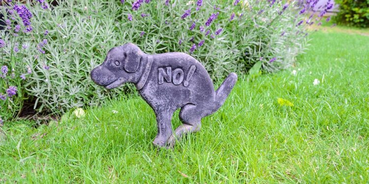 Pawsitively Social: Transform Your Pup’s Behavior with Dog Socialization Classes