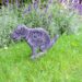 Pawsitively Social: Transform Your Pup’s Behavior with Dog Socialization Classes
