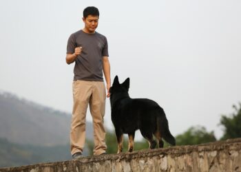The Secret Language of Dogs: Decoding Canine Behavior