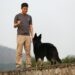 The Secret Language of Dogs: Decoding Canine Behavior