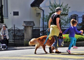 Stay Dry and Stylish: The Ultimate Guide to Choosing the Perfect Dog Raincoat