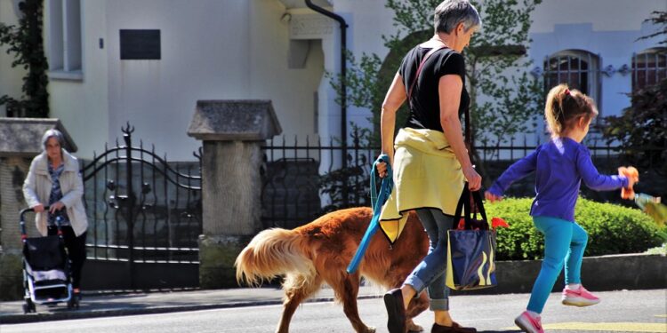 Stay Dry and Stylish: The Ultimate Guide to Choosing the Perfect Dog Raincoat