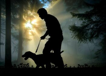 Conquer Your Canine’s Pulling Power: The Ultimate Guide to Harness Training