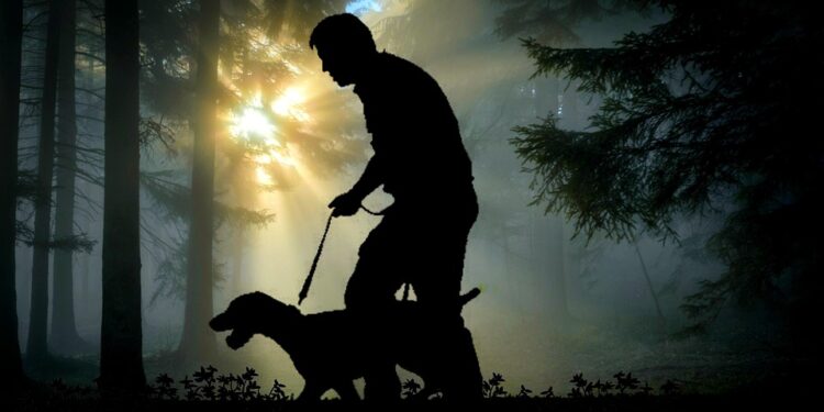 Conquer Your Canine’s Pulling Power: The Ultimate Guide to Harness Training