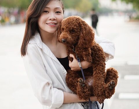 Top 10 Low-Maintenance Apartment Dogs: Perfect Pups for Solo Living