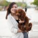 Top 10 Low-Maintenance Apartment Dogs: Perfect Pups for Solo Living