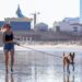 The Ultimate Guide to the Best Dog Leashes: Keeping Your Pup Safe and Stylish