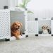 How to Crate Train a Puppy in 7 Days
